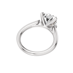 Pegasus Ring
