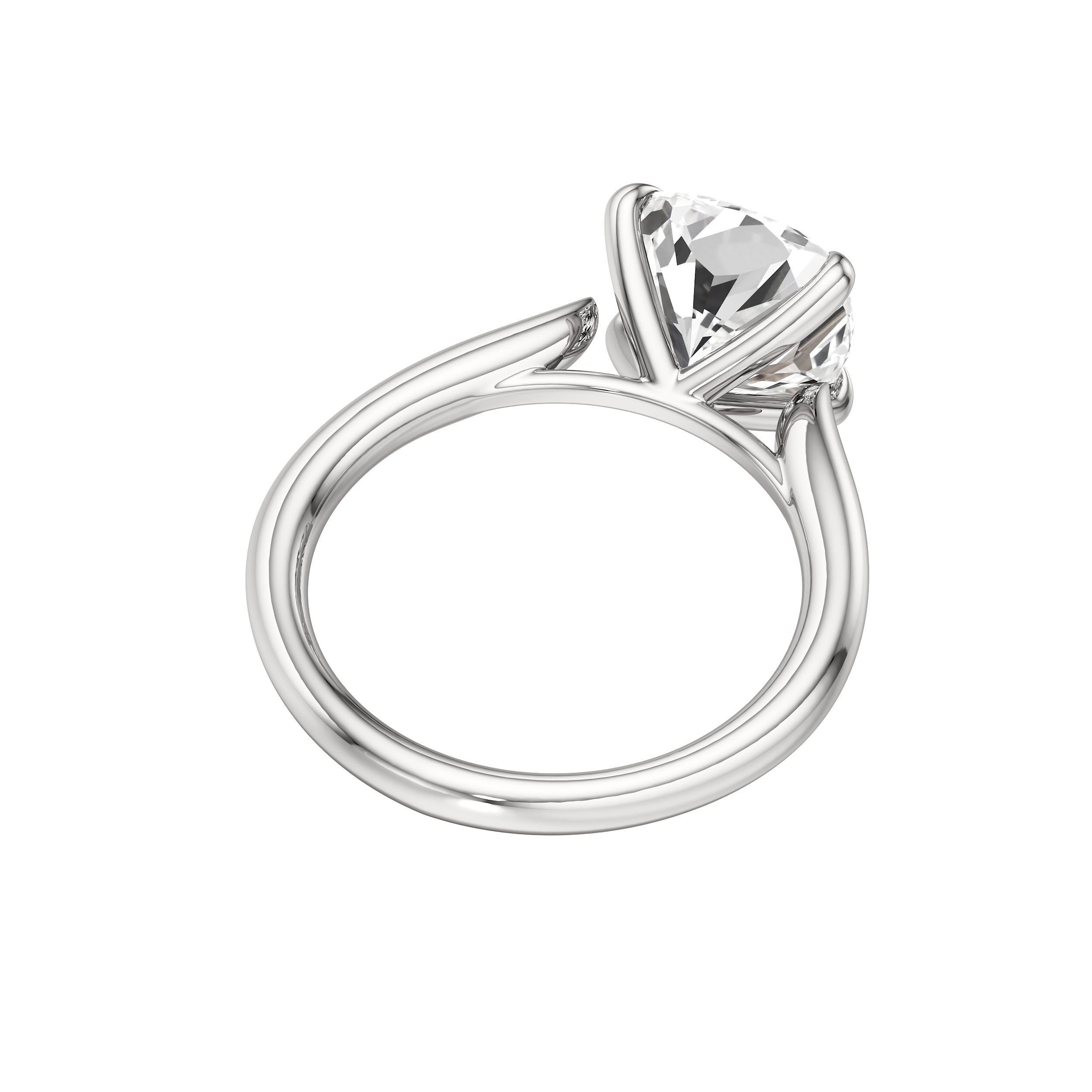 Pegasus Ring