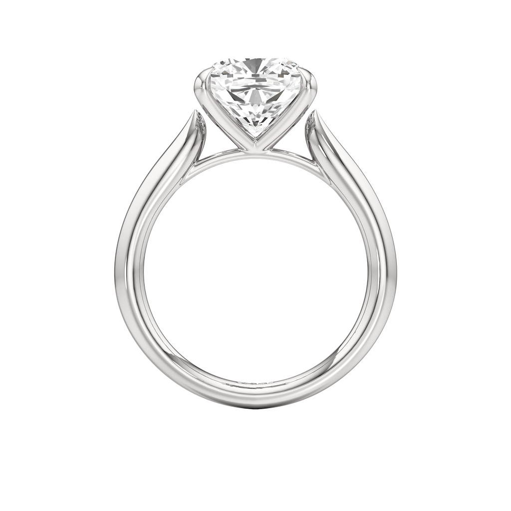 Pegasus Ring