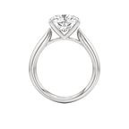 Pegasus Ring