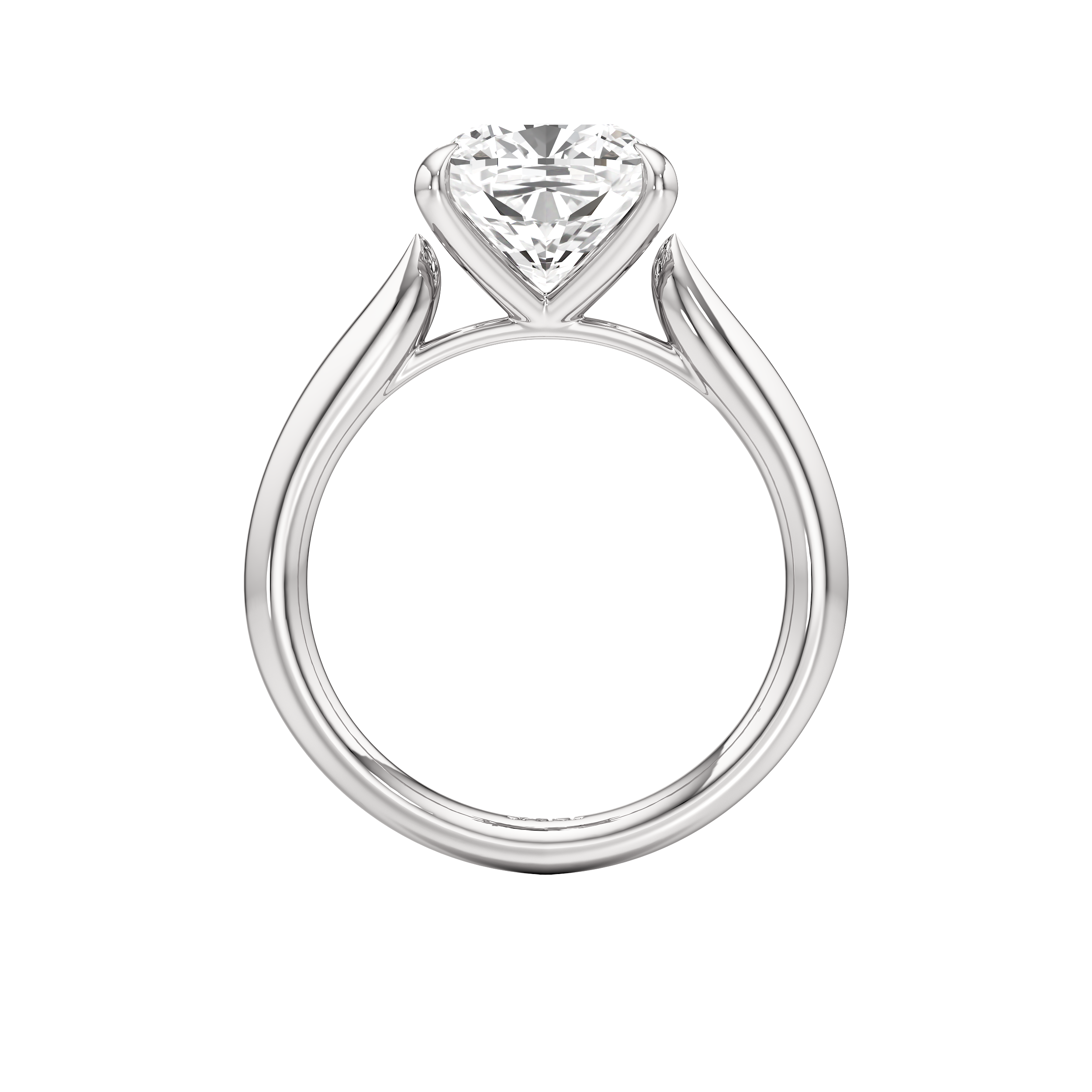 Pegasus Ring