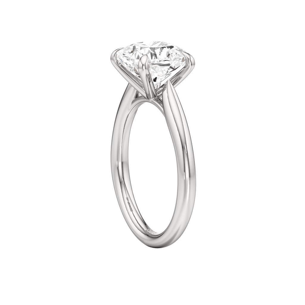 Pegasus Ring