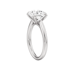Pegasus Ring