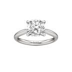 Pegasus Ring