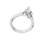 Spindle Ring