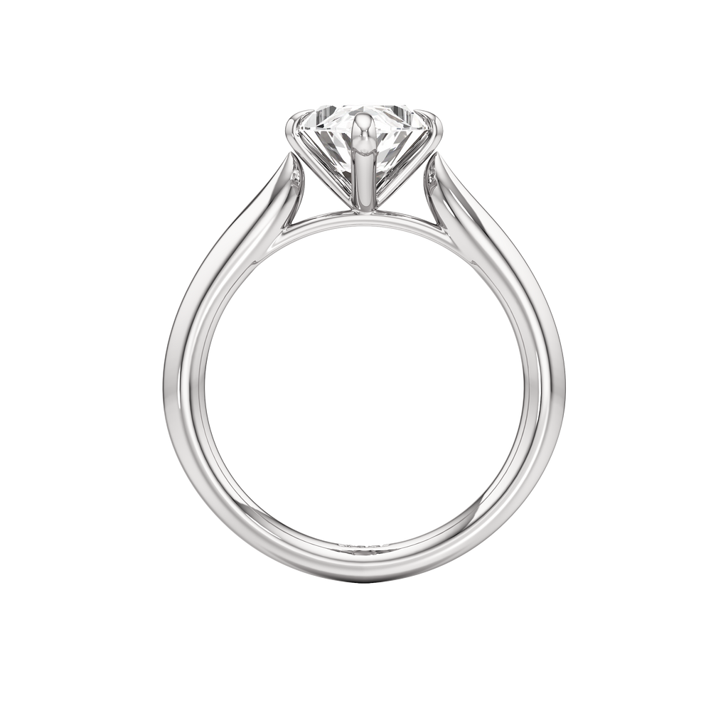 Spindle Ring