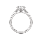 Spindle Ring