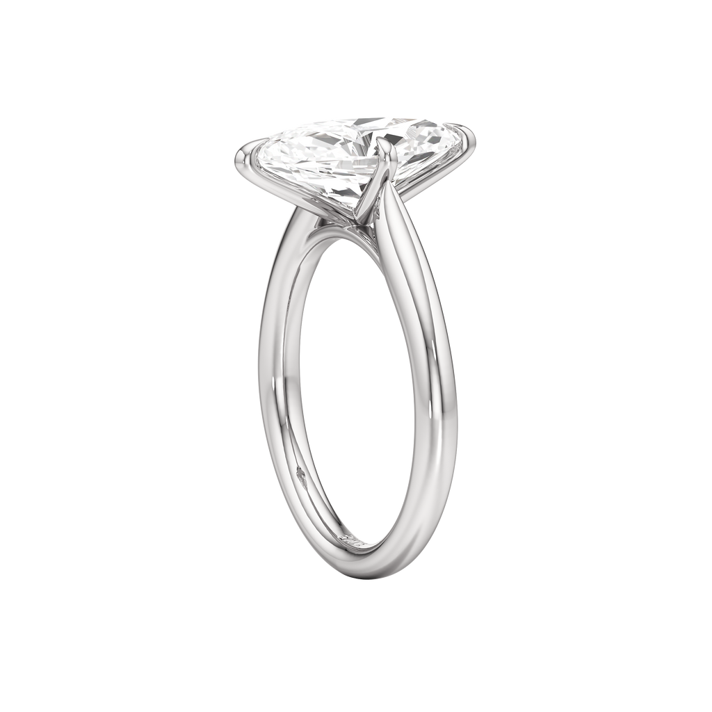 Spindle Ring