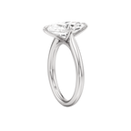 Spindle Ring