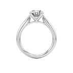 Haumea Ring