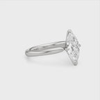 Spindle Ring